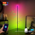 Home Smart WIFI Floor Lamps